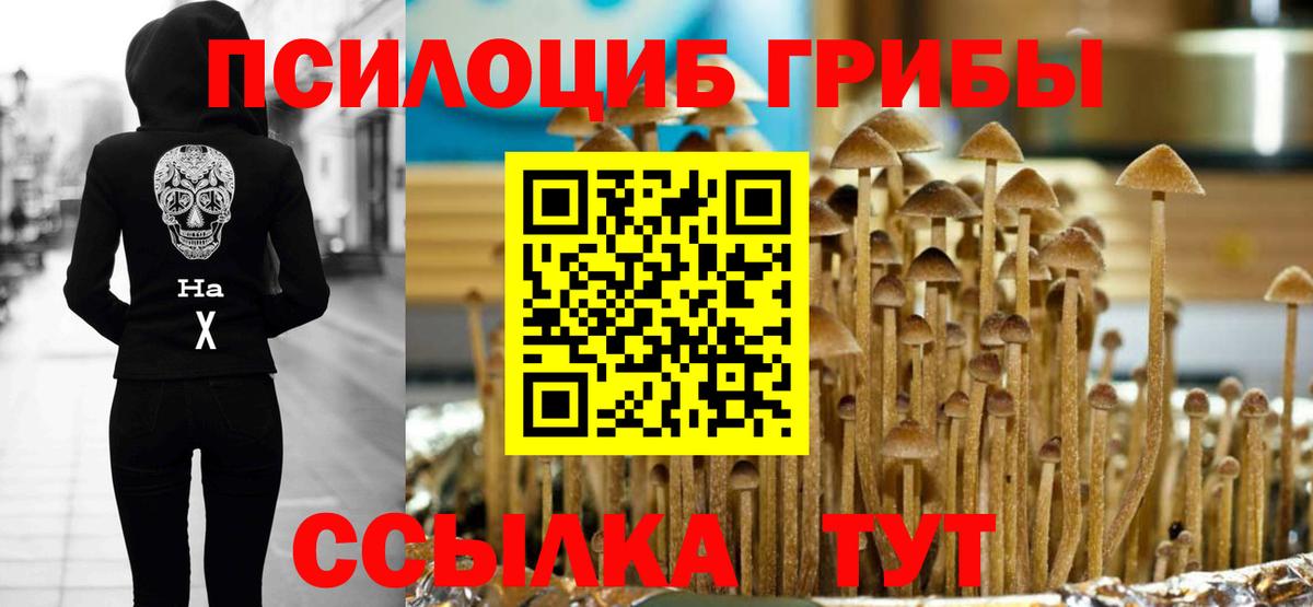 Псилоцибиновые грибы мухоморы  Вход с VPN  Курчатов 